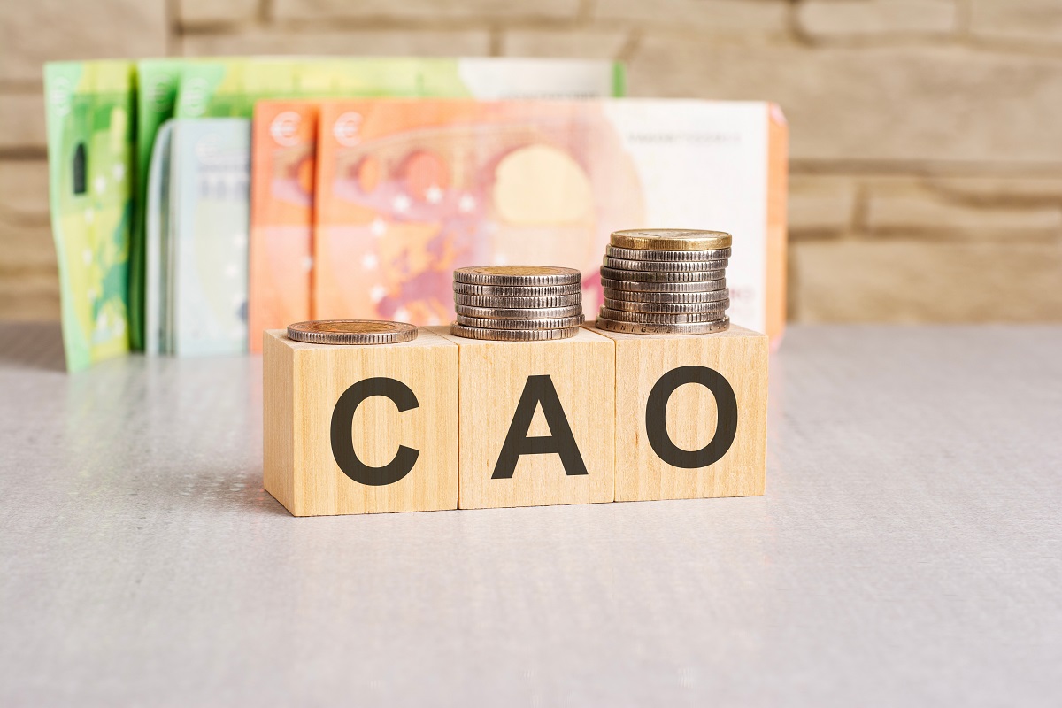 Onderhandelaarsakkoord nieuwe Cao 20242025 NVDA