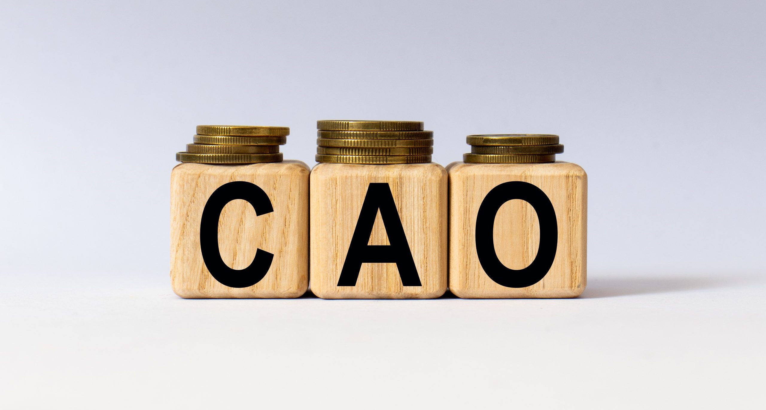 Onderhandelaarsakkoord Cao 20242025 de status NVDA