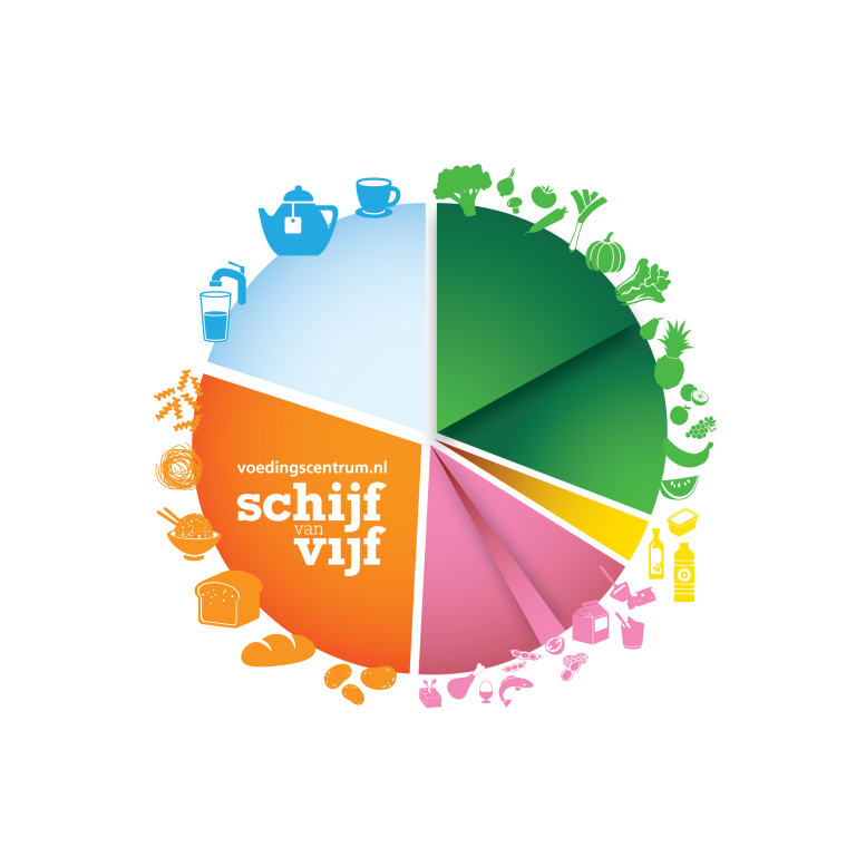 De vernieuwde Schijf van Vijf – Webinar voor jou als zorgprofessional