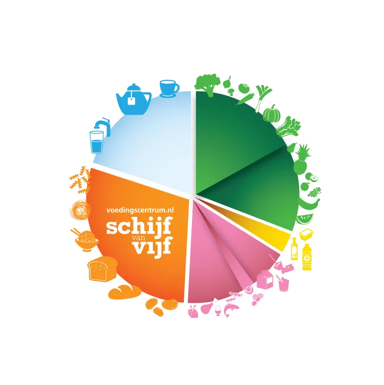 De vernieuwde Schijf van Vijf – Webinar voor jou als zorgprofessional